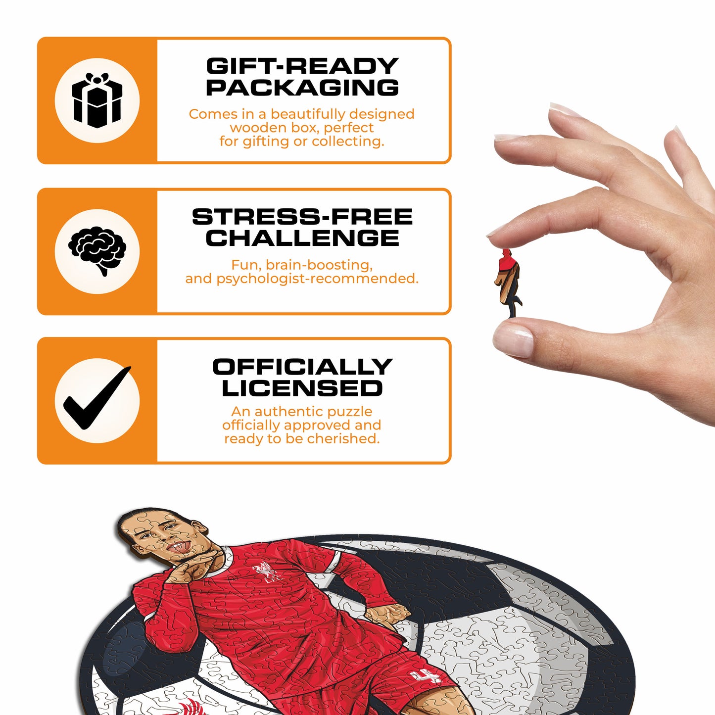 Voetbalpuzzel - Voetbalspeler - Virgil van Dijk